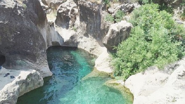 Foto - Dünyanın öbür ucunda değil Türkiye'de
