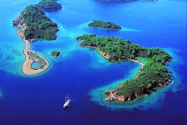 Dünyanın sayılı yerleri arasındalar! Başkan Erdoğan’dan ‘Hassas Alan’ Kararı