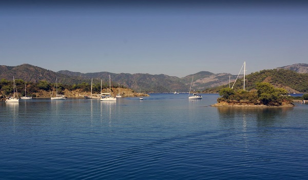 Foto - Dünyanın sayılı yerleri arasındalar! Başkan Erdoğan’dan ‘Hassas Alan’ Kararı