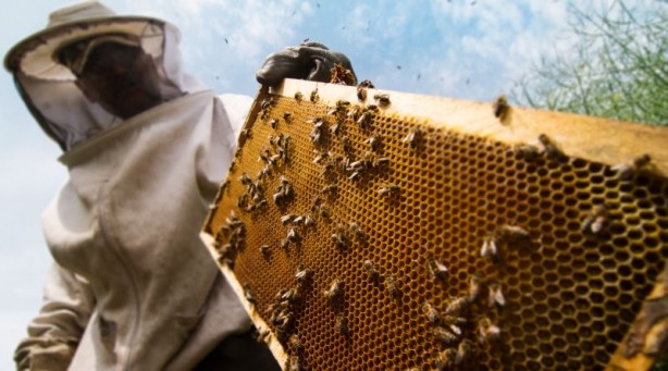 Foto - Dünyanın sonu gelebilir! Ordu'dan şok edici haberi verdi: Türk yetkililer el atmalı