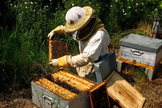 Foto - Dünyanın sonu gelebilir! Ordu'dan şok edici haberi verdi: Türk yetkililer el atmalı