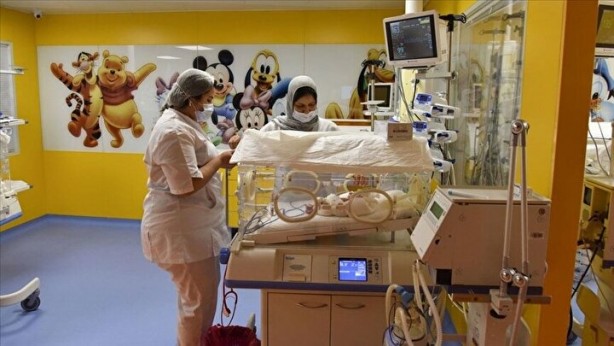 Foto - Dünyanın tek dokuzları: Herkes bebekleri görmek için akın ediyor