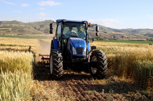 Foto - Dünyaya çare olacak... Baklava di̇li̇mi̇ne benzi̇yor ama bakın ne!