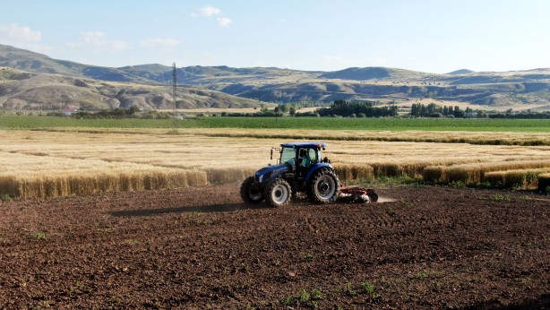Foto - Dünyaya çare olacak... Baklava di̇li̇mi̇ne benzi̇yor ama bakın ne!