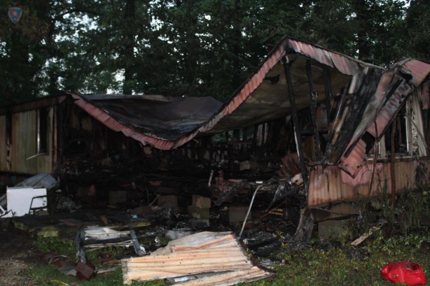 Foto - Dünyayı alt üst eden gelişme! Dev sivrisinekler yüzlercesini öldürdü