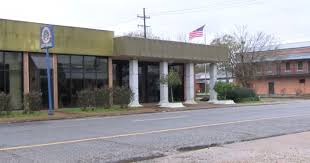 Foto - Dünyayı alt üst eden gelişme! Dev sivrisinekler yüzlercesini öldürdü