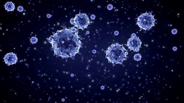 Foto - Çinli gazeteci gerçeği ortaya çıkardı! ‘Yarasa kadın’ olarak bilinen bilim insanına ne oldu?