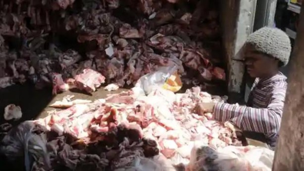 Foto - Dünyayı ayağa kaldıran görüntüler! Hayvan leşlerini yemek için hücum ettiler