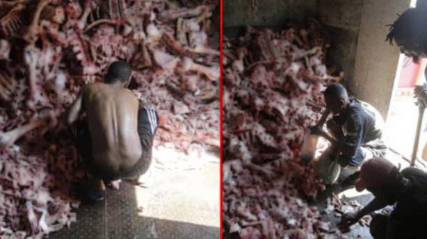 Foto - Dünyayı ayağa kaldıran görüntüler! Hayvan leşlerini yemek için hücum ettiler