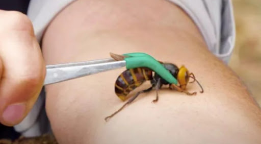 Foto - Dünyayı ayağa kaldıran olay! Koronadan sonra yeni tehlike Avrupa'ya ulaştı