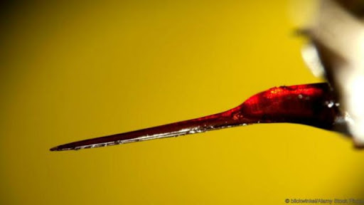 Dünyayı ayağa kaldıran olay! Koronadan sonra yeni tehlike Avrupa'ya ulaştı