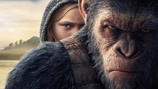 Foto - Dünyayı ayağa kaldıran olay! Maymunlar savaşa girişti