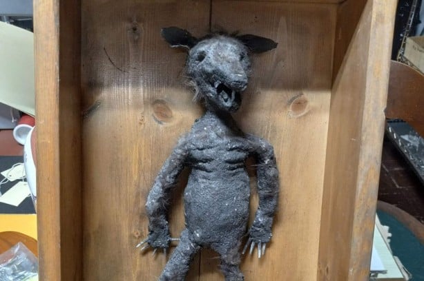 Foto - Dünyayı buz kestiren fare çocuk! Görenler cama fırlayıp derin nefes alıyor