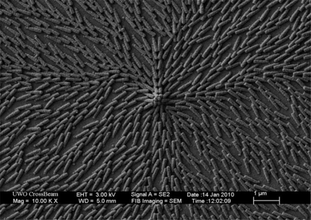 Foto - Dünyayı değiştiren teknolojiler