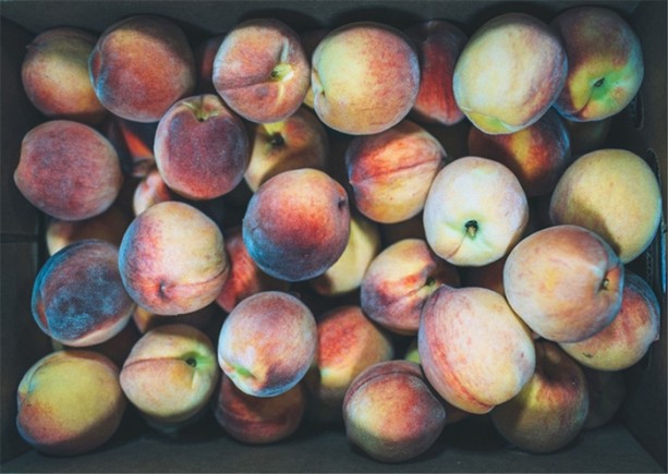 Foto - Dünyayı değiştiren teknolojiler