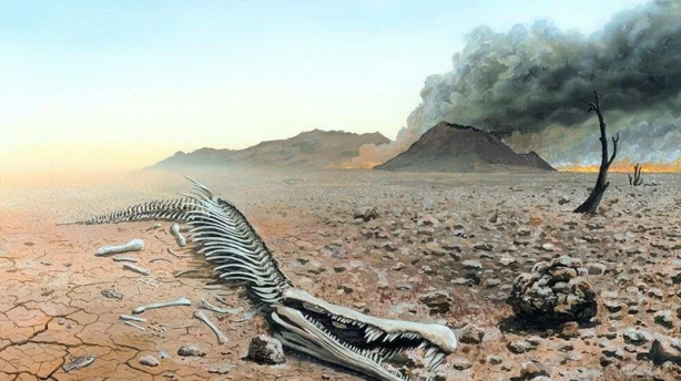 Foto - Dünyayı eve kapatmaktan da felaket bir şey üzerinde çalışıyorlar! Akıllarındaki tarih bile belli! Bunu yapacaklar! Yok artık