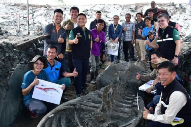 Foto - Dünyayı hayrete düşüren görüntüler! Neye ait olduğu belli oldu