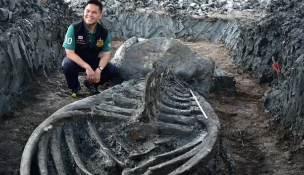 Dünyayı hayrete düşüren görüntüler! Neye ait olduğu belli oldu