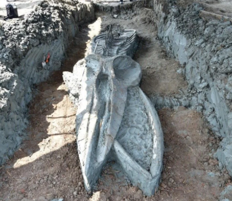 Foto - Dünyayı hayrete düşüren görüntüler! Neye ait olduğu belli oldu