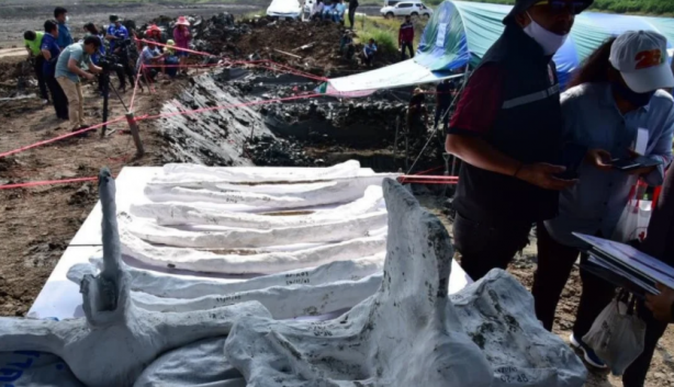 Foto - Dünyayı hayrete düşüren görüntüler! Neye ait olduğu belli oldu