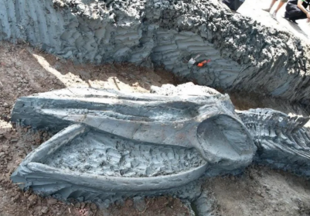 Foto - Dünyayı hayrete düşüren görüntüler! Neye ait olduğu belli oldu