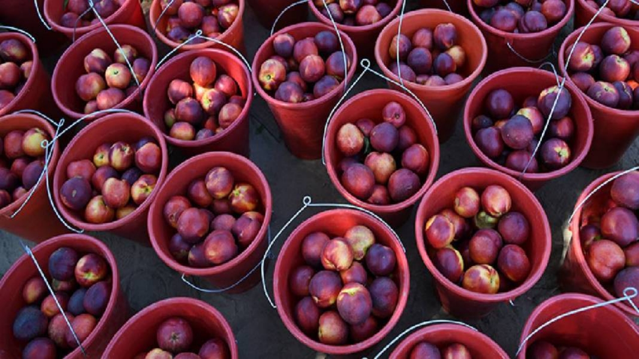 Foto - Dünyayı peşinden koşturuyor! Almanya, Rusya ve Orta Doğu ülkeleri "Bize de verin" diye sıraya girdi
