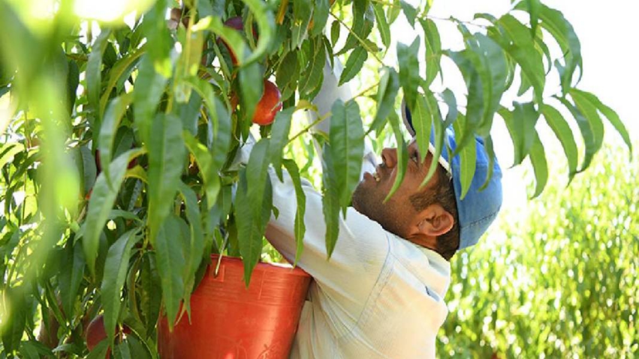 Foto - Dünyayı peşinden koşturuyor! Almanya, Rusya ve Orta Doğu ülkeleri "Bize de verin" diye sıraya girdi