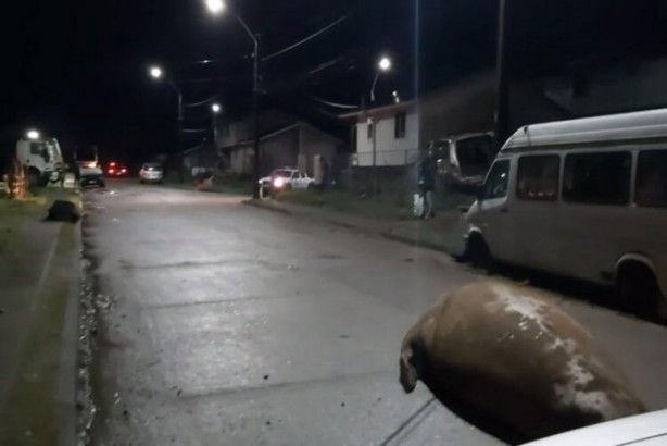 Foto - Dünyayı sarsan görüntüler! Yolunu kaybetti, duyanlar koştu