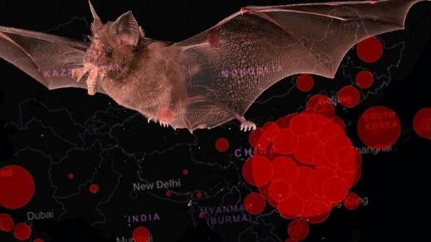 Foto - Dünyayı sarsan itiraf sonrası ülke karıştı!