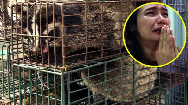 Dünyayı şoke eden haber! Yine Wuhan… İngilizler duyurdu