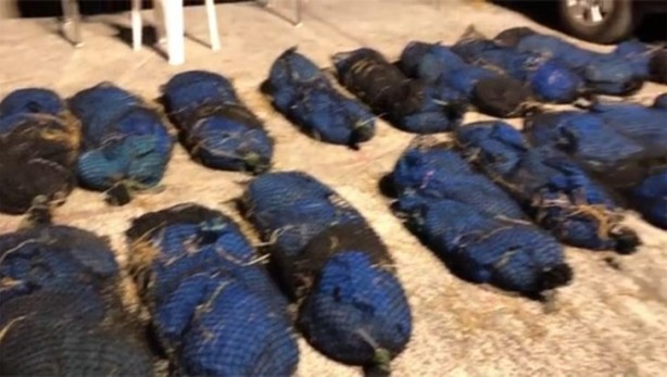 Foto - Durdurulan araçta bulundu! Görenler inanamadı