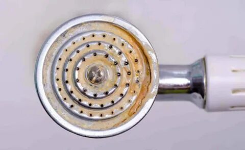 Foto - Duş başlıklarındaki kireçlenmeye pratik çözüm! Oysa temizlemek bu kadar basitmiş
