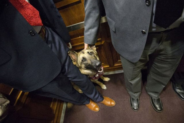 Foto - Düşen asansörde nasıl hayatta kalınır?