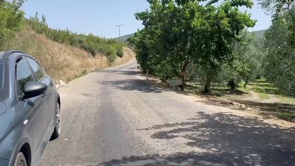 Foto - Dut ağacına öyle bir not asıldı ki! 