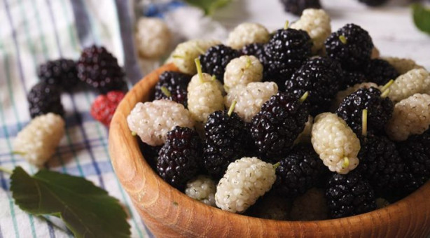 Foto - Dut cildin genç kalmasını sağlıyor!