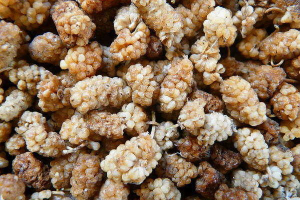 Foto - Dut kurusu faydaları: Daha çok tüketmeniz için 12 süper neden! Antioksidan, A ve C vitamini adeta fışkırıyor