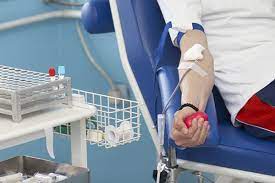 Foto - Dut kurusu faydaları: Daha çok tüketmeniz için 12 süper neden! Antioksidan, A ve C vitamini adeta fışkırıyor