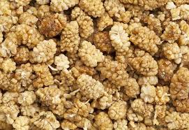 Foto - Dut kurusunun bilinmeyen 10 faydası! Herkesi ilgilendiriyor: Kuru dut hakkında en merak edilenler