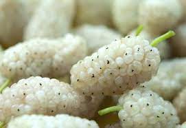 Foto - Dut kurusunun bilinmeyen 10 faydası! Herkesi ilgilendiriyor: Kuru dut hakkında en merak edilenler