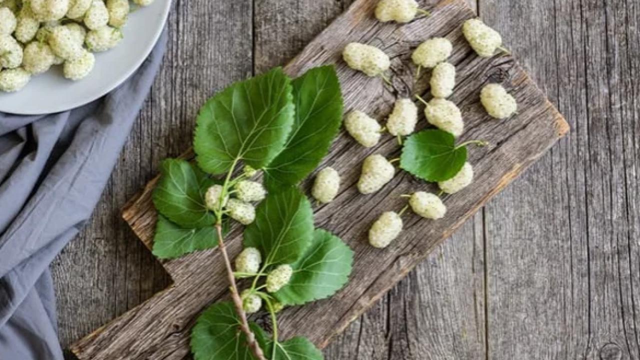 Foto - Dut yaprağı, Asya kökenli şifa dolu meyve: Öyle bir şey ki gören hayran kalıyor! Bakın ne, nelere iyi geliyor
