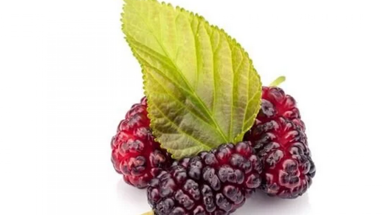 Foto - Dut yaprağı, Asya kökenli şifa dolu meyve: Öyle bir şey ki gören hayran kalıyor! Bakın ne, nelere iyi geliyor