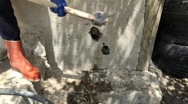 Foto - Duvardaki delikte sıkışmış halde bulundu! Ekipler kurtardı