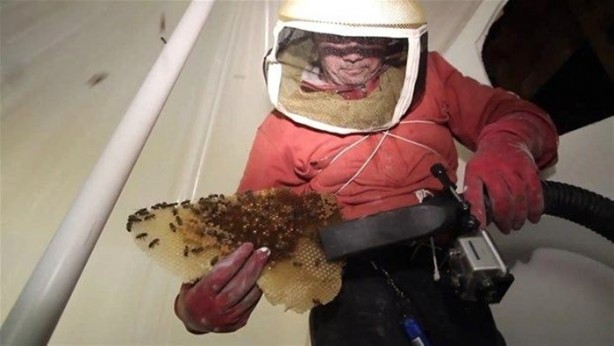 Foto - Duvardan çıkanlar şok etti!