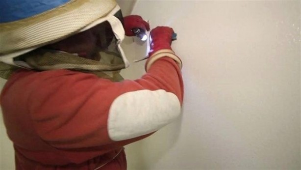 Foto - Duvardan çıkanlar şok etti!