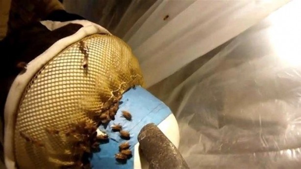 Foto - Duvardan çıkanlar şok etti!