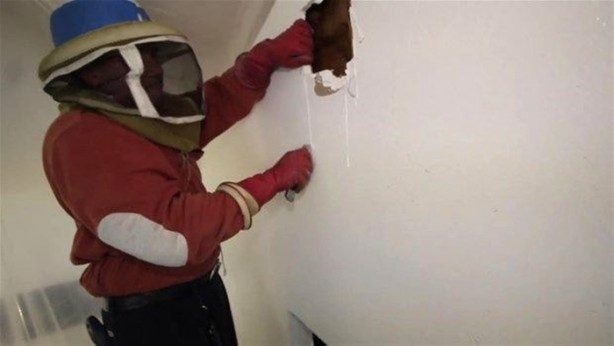 Foto - Duvardan çıkanlar şok etti!