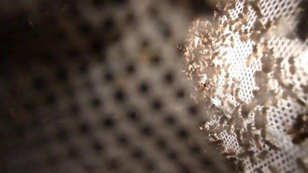 Foto - Duvardan çıkanlar şok etti!