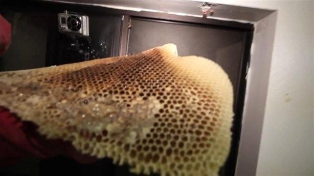 Foto - Duvardan çıkanlar şok etti!