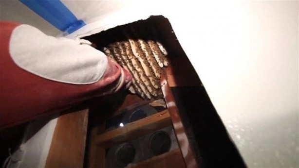 Foto - Duvardan çıkanlar şok etti!