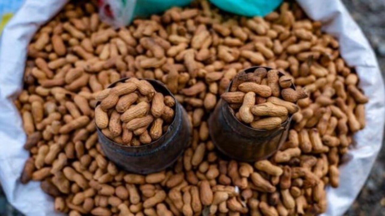 Foto - Duyan cebinde gezdirecek! Hafızayı 10 katı güçlendiriyor